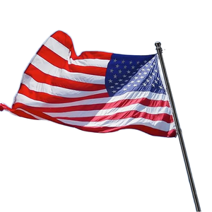 9,5 футов без запутывания сверхпрочный черный наземный флагшток 3x5 с вышитым американским флагом, набор для защиты от наконечника, портативный отдельно стоящий - Product Image 1