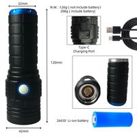 Lampe torche UV 15W en alliage d'aluminium, étanche, rechargeable par USB, lumière noire 395nm 365nm pour la détection de devises et d'urine d'animaux