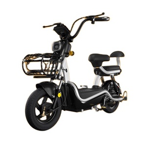 Nouveau vélo électrique à 2 roues avec freins à tambour avant et arrière Pneu à vide de 14 pouces Moteur 300W/500W forte puissance - Product Image 1