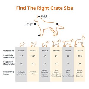 Cage pour animaux de compagnie en acier inoxydable robuste, pliable et mobile, grande cage métallique pour chiens et chats, enclos de jeu pour animaux domestiques - Product Image 6