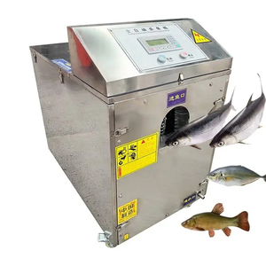 Nouvel équipement de transformation du poisson à vendre - Product Image 6