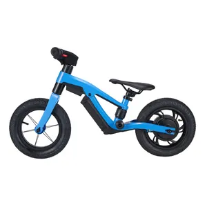 12" Inch Children No Pedal Bicycle 250W Powered 24V 2.5ah Kids Electric Balance Bikes