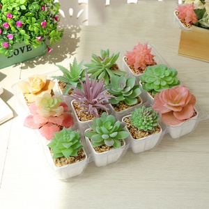 Mini nhựa mọng nước trong nồi nhựa mini mọng nước nhân tạo thực vật - Product Image 1