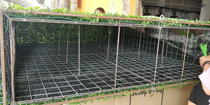 Customized Size Plastic Hedge <strong>Artificial</strong> Boxwood Hedge <strong>Artificial</strong> Green Hedge <strong>Artificial</strong> Boxwood Hedge <strong>Artificial</strong> <strong>Fence</strong> - Product Image 6