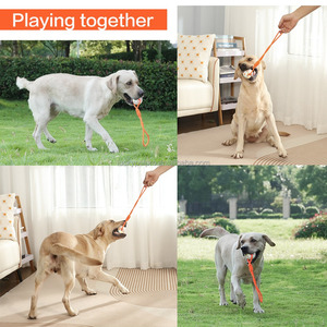 Pelota para mascotas de buena calidad <span class=keywords><strong>popular</strong></span> recién llegados, juguetes para perros, pelota para perros con cuerda ETPU para cachorros pequeños - Product Image 6
