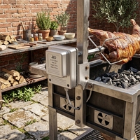 Moteur de rôtissoire BBQ SUS304