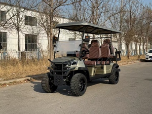 Carrito de Golf de 2 Plazas con Carrocería de Acero, 48V, Eléctrico/Gasolina, con Certificación DOT/CE, Mini Cargador de 48V25A, Estilo <span class=keywords><strong>Rolls</strong></span> <span class=keywords><strong>Royce</strong></span>, Nuevo 48V - Product Image 2