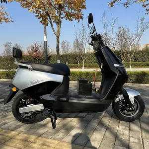 2024 Wuxi Factory Price Electric Motorcycle 12inch 1200w Electric Pedal Moped