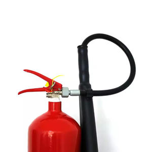 Attrezzatura antincendio della fabbrica della Cina 5kg Bsi ha approvato Co2 estinguente - Product Image 4