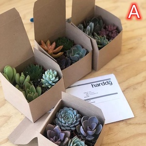 Supplier Custom Brown Printed Single Wall Kraft Paper Packaging Box for potted plants