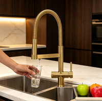 Robinet de cuisine de luxe doré 5 voies, rotatif à 360 degrés, mitigeur eau chaude et froide, filtre à eau, robinet 5 en 1