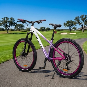 Oferta Destacada: Bicicleta de Montaña para Dirt Jump con Eje de Cassette de 120 Puntos de Contacto para Descenso en Seco, Atractivo Diseño, Cuadro Desmontable de Aluminio ALD-AM100, Fácil Personalización - Product Image 6