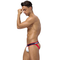 Sous-vêtements pour hommes en coton élastique respirant pour jeunes adultes, caleçons de style garçon, style sexy