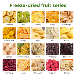 Etiqueta privada Arándano natural Liofilizado Fruta Batido Arándanos Liofilizado Aperitivos Batidos Bebida - Product Image 6