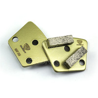 Plaques de ponçage diamantées trapézoïdales personnalisables à 2 segments, 3 trous, pour outils de ponçage de sols en béton, support OEM