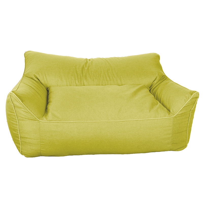 Bois de gingembre vert