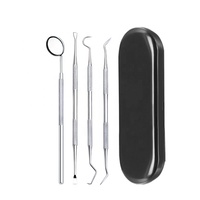 Kit d'outils de dentiste, grattoir à tartre, détartreur de calcul, dissolvant de Plaque dentaire, nettoyage des dents, outil de soins buccaux
