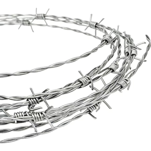 Filo Spinato in Ferro Calibro 16, Rotolo da 500m con Punte Gratuite, Prezzo Conveniente per Recinzioni e Cancelli, Campioni Gratuiti Disponibili - Product Image 3
