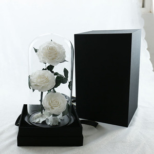 Belle la Bête Préservé Rose Led Verre Dôme Rose Éternelle pour Noël Halloween Fête des Pères Saint Valentin Fête des Mères Cadeau - Product Image 5