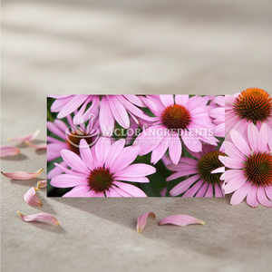 Extrait d'échinacée Complément alimentaire naturel à base de plantes pour le soutien immunitaire, le bien-être, la vitalité et la santé quotidienne Nutrition à base de plantes - Product Image 2