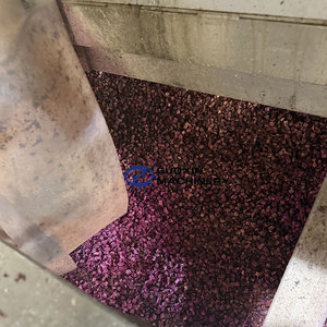 Séchoir à bande maillée grande capacité pour cubes de patate douce violette - Product Image 2