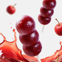 Nouvelle machine de production de sucettes et de brochettes en acier inoxydable pour fruits confits à l'aubépine