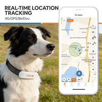 Traceur GPS pour animaux de compagnie, collier traceur GPS 4G pour chiens et chats, étanche IP67, localisation en temps réel, clôture virtuelle, longue durée de vie de la batterie
