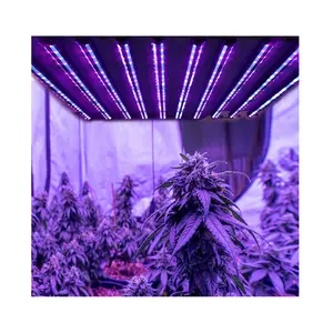 Tube de lumière de croissance LED UV IR 660nm 3000K 6000K Tube de lumière de croissance à spectre complet personnalisé pour plantes serre verticale ferme