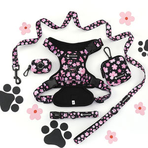 <span class=keywords><strong>Harness</strong></span> Anjing Custom Model Heavy Duty Bermotif, Tanpa Tarikan, Dapat Disesuaikan, dengan Klip Depan, Set Tali, Bantalan Jala Lembut, dan Logo Merek - Product Image 1