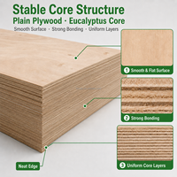 Panneau de contreplaqué en eucalyptus massif brut pour emballage, coffrage béton, sous-plancher, WBP, étanche, MR
