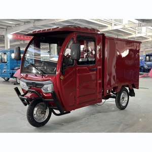 Tricycle Trike Three Wheeler 3 Wheel Bike With 2000W Motor and Delivery Closed - Product Image 2