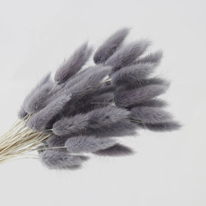 Ramo de Flores Secas de Cola de Conejo en Degradado de Colores Populares para Decoración de Bodas y Regalos, Lagurus Ovatus - Product Image 2