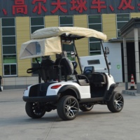 Mobil Golf UCB-11 2 Kursi untuk Off Road, Cocok untuk Resort, Pertanian, dan Mobilitas Luar Ruangan