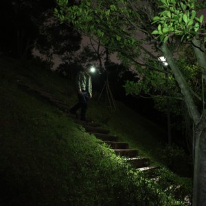 Nhiều nguồn ánh sáng Keychain đèn Pin bàn Chiến thuật đèn <span class=keywords><strong>Mini</strong></span> USB có thể sạc lại UV ánh sáng màu đỏ đèn pin Túi đèn flash ánh sáng - Product Image 4