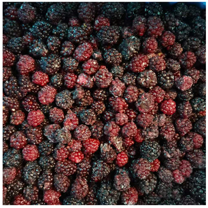 None gmo frutas geladas frescas selvagem/cultivando/gelada orgânica blackberries venda quente - Product Image 4
