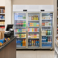 Refrigerador Comercial para Bebidas de Supermercado, con Termostato Mecánico, Puerta de Vidrio, Vitrina Exhibidora