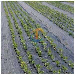 السيطرة على الأعشاب الزراعية ، غطاء بلاستيكي زراعي شاندونغ جودة ذهبية بيع مباشر من المصنع - Product Image 4