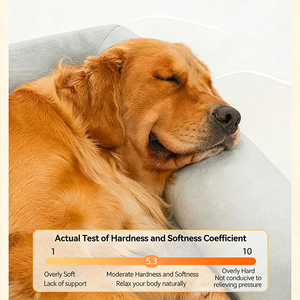 Divano per Cani in Peluche con Motivo Solido, Stile Moderno, Quattro Stagioni, Sfoderabile e Lavabile, Ortopedico, Durevole, Vendita Diretta dalla Fabbrica - Product Image 3