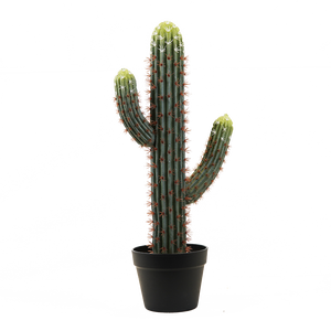 Cactus artificiel de <span class=keywords><strong>mexique</strong></span> Cactus Saguaro artificiel grand Cactus artificiel - Product Image 1