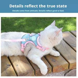 कारखाने प्रत्यक्ष बिक्री छोटे कुत्ते से बच सबूत गैर चोकिंग समायोज्य सांस लेने योग्य हार्नेस और कई रंगों के ओम के साथ पट्टा - Product Image 4