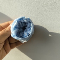 Top Qualité Éternel Réel Préservé Austin Fleurs Rose David Austin Préservé Austin Fleur pour DIY Artisanat Bouquet De Fleurs Sèches