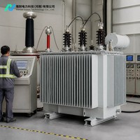 Transformateur monophasé immergé dans l'huile 50/60Hz à enroulement en cuivre 10kV/0.4kV à faible perte pour systèmes de distribution