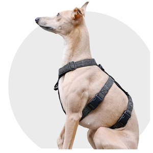 Harnais pour <span class=keywords><strong>chien</strong></span> anti-évasion rembourré, respirant, sans traction, 3 points, pour chiens de taille moyenne à grande, pour la marche et la course - Product Image 3