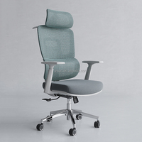Chaise de bureau ergonomique de direction LYSUN confortable avec appui-tête 3D réglable, dossier en maille et pieds chromés