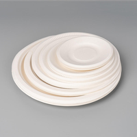Assiettes jetables en canne à sucre compostables, vaisselle biodégradable, résistantes au micro-ondes, au congélateur et à l'eau, pour les plats à emporter