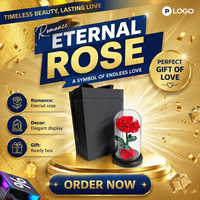 Bunga Mawar Asli Awetan di Kubah Kaca dengan Lampu LED, Logo Kustomisasi untuk Hadiah Pernikahan, Dekorasi Ruangan, dan Hari Valentine