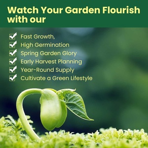 Kit <span class=keywords><strong>de</strong></span> Cultivo <span class=keywords><strong>de</strong></span> Vegetales <span class=keywords><strong>de</strong></span> Herencia, Más <span class=keywords><strong>de</strong></span> 15,000 Semillas No Modificadas Genéticamente para Cultivo Hidropónico en Interiores, Mochila <span class=keywords><strong>de</strong></span> Supervivencia, Equipo <span class=keywords><strong>de</strong></span> Emergencia - Product Image 4