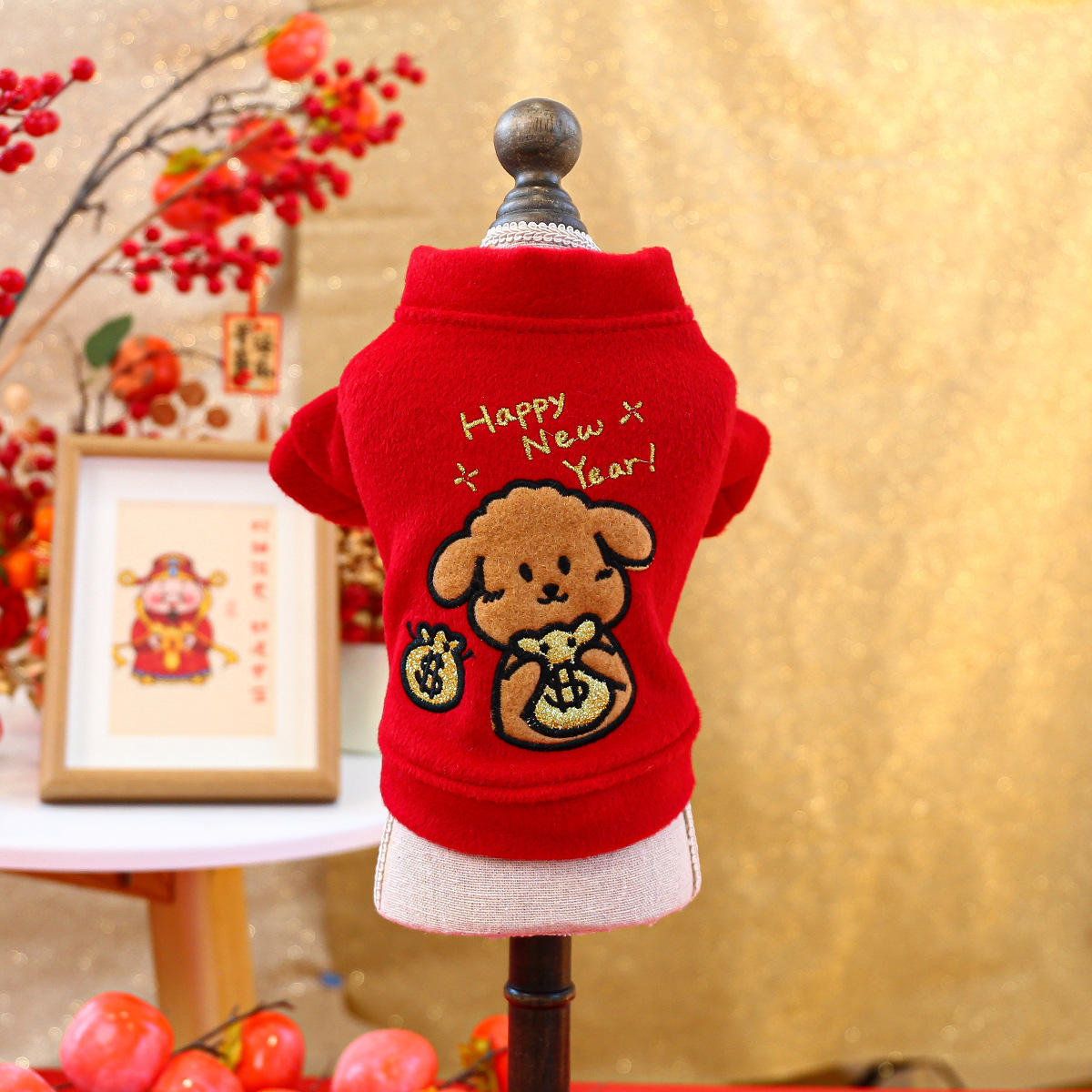 New year's coat - dollar dog