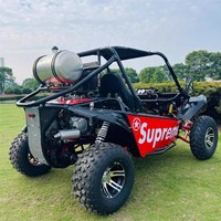 Kart Todoterreno de 300cc con Suspensión Independiente, Tracción en Ejes, Vehículo Utilitario Todoterreno para Zonas Panorámicas, Montaña y Playa