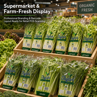 Sac d'emballage pour légumes frais en CPP micro-perforé de qualité alimentaire, forme trapézoïdale, pour la laitue et les légumes verts